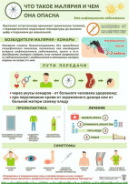 Профилактика и предотвращение малярии Профилактика и предотвращение малярии.