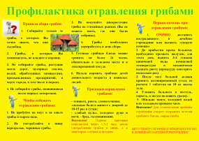 Профилактика отравления грибами Профилактика отравления грибами.