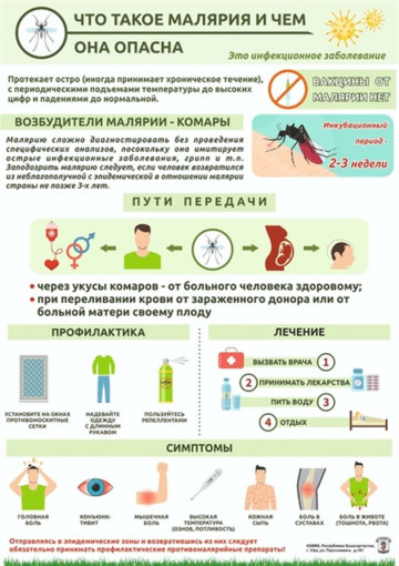 Профилактика и предотвращение малярии Профилактика и предотвращение малярии.
