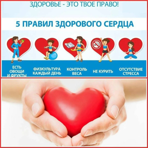 Здоровое сердце-это здорово! Здоровое сердце-это здорово!.