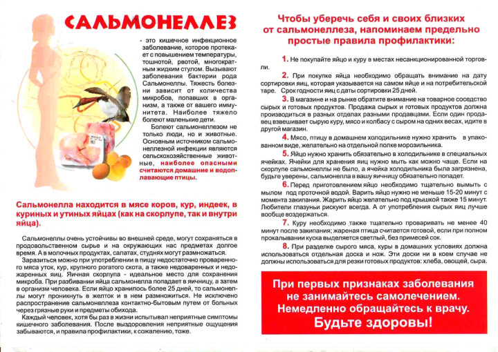 Что такое сальмонеллез и чем он опасен Что такое сальмонеллез и чем он опасен.